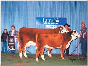 MHF E1 Brittany 40K