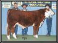 BCD 59J Landlord 114L 