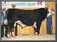 CGD 42L Magnum ET 303R